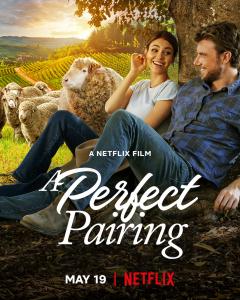 A Perfect Pairing (2022) Online Subtitrat in Romana