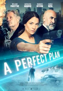 A Perfect Plan 2020 Online Subtitrat