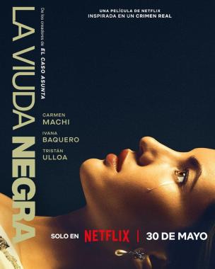 A Widows Game (2025) Online Subtitrat in Romana