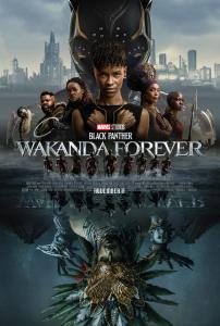 Black Panther: Wakanda Forever (2022) Online Subtitrat in Romana