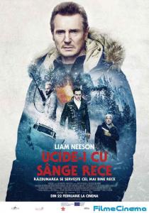 Cold Pursuit (2019), film online subtitrat în Română