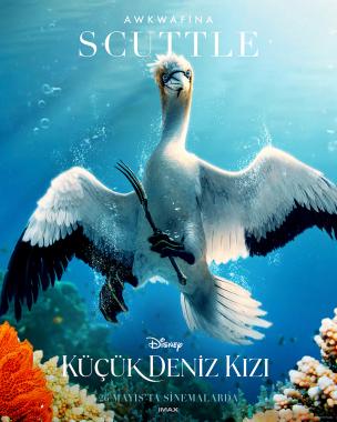 The Little Mermaid (2023) Online Subtitrat in Romana