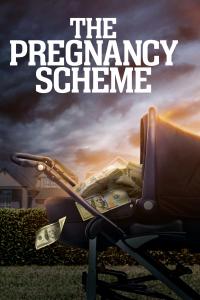 The Pregnancy Scheme (2023) Online Subtitrat in Romana